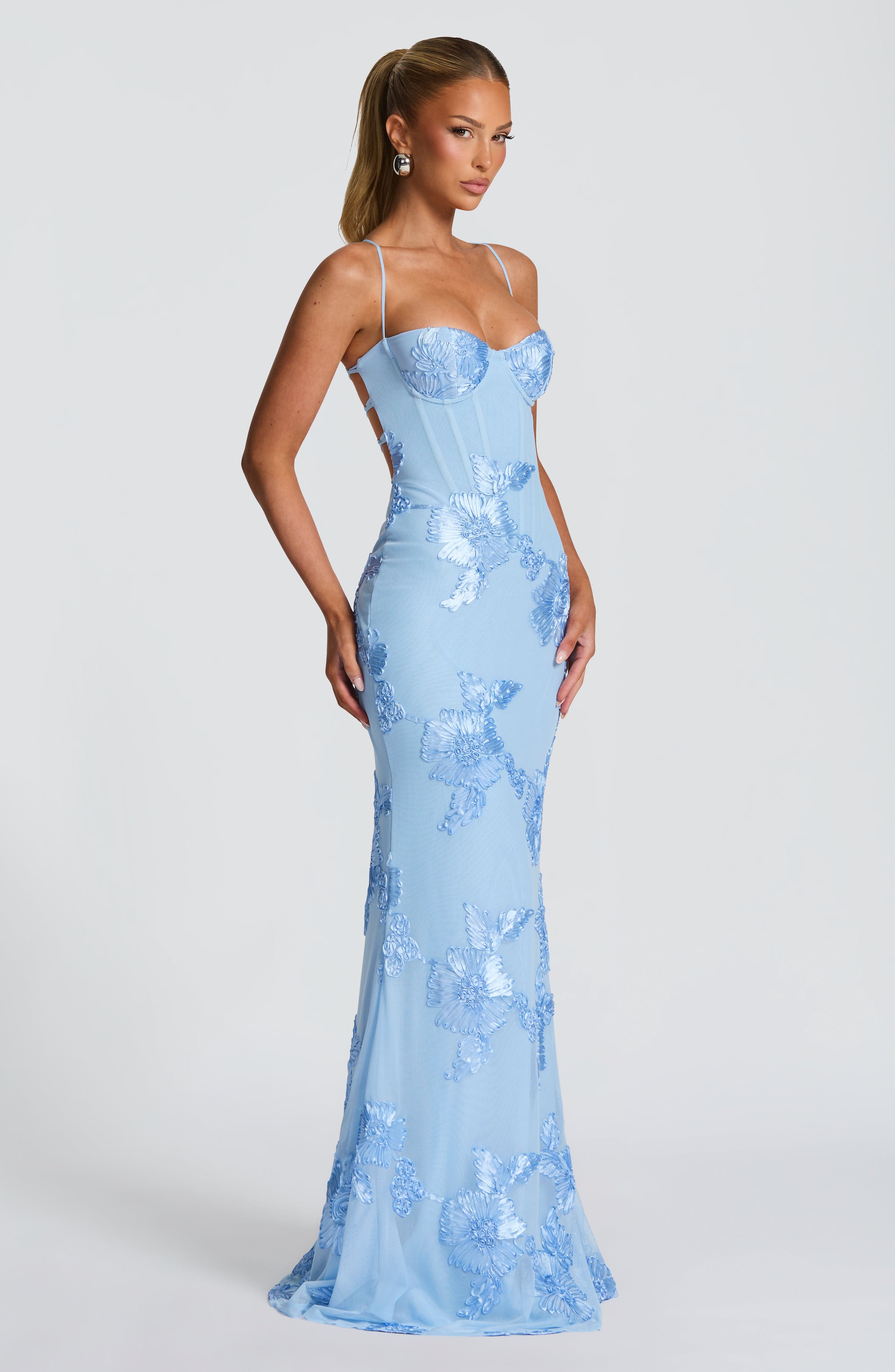 Sophia Maxi Dress